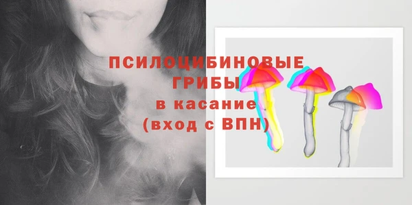 молекула духа Алексин