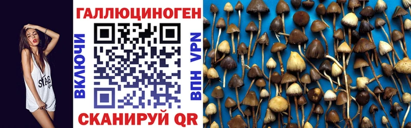 наркошоп  Десногорск  shop официальный сайт  Псилоцибиновые грибы Cubensis  кракен зеркало 
